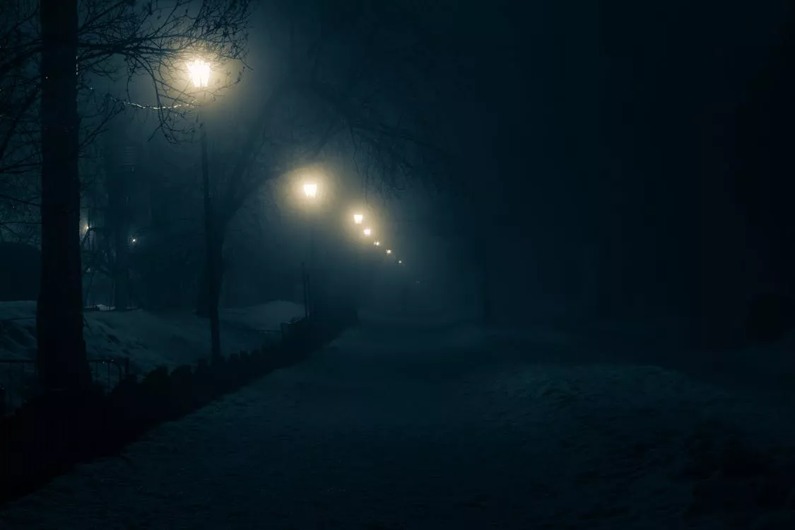 Lighted Street Lamps of a Snow Covered