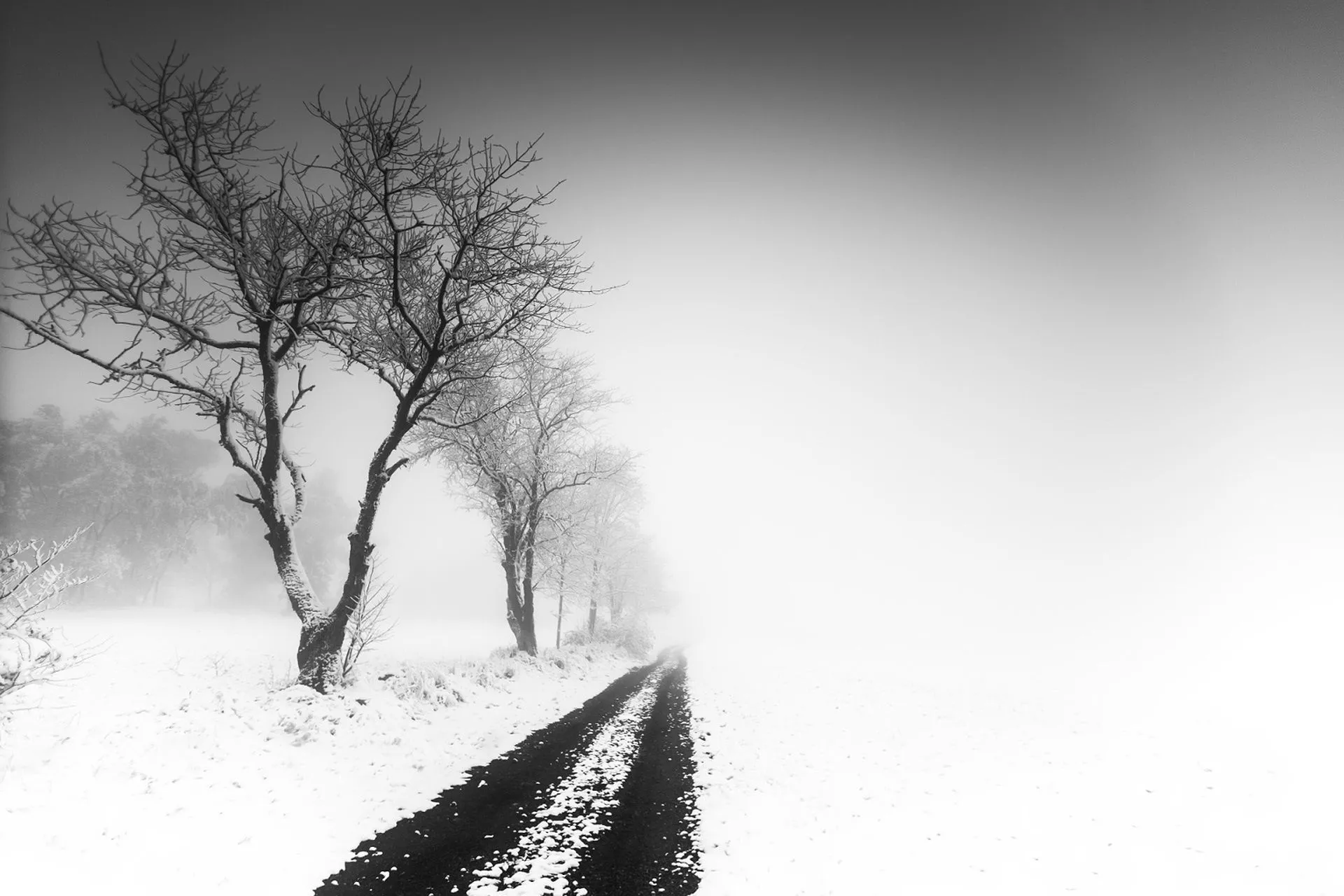 Dirt Road Winter Nature Fog HD Wallpaper