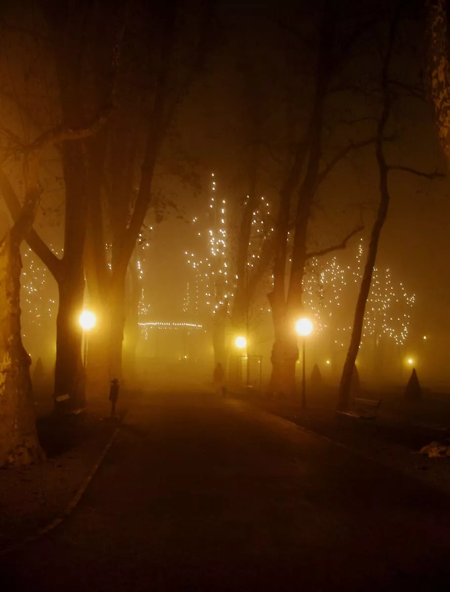 winter, fog, park, decorative, lamps