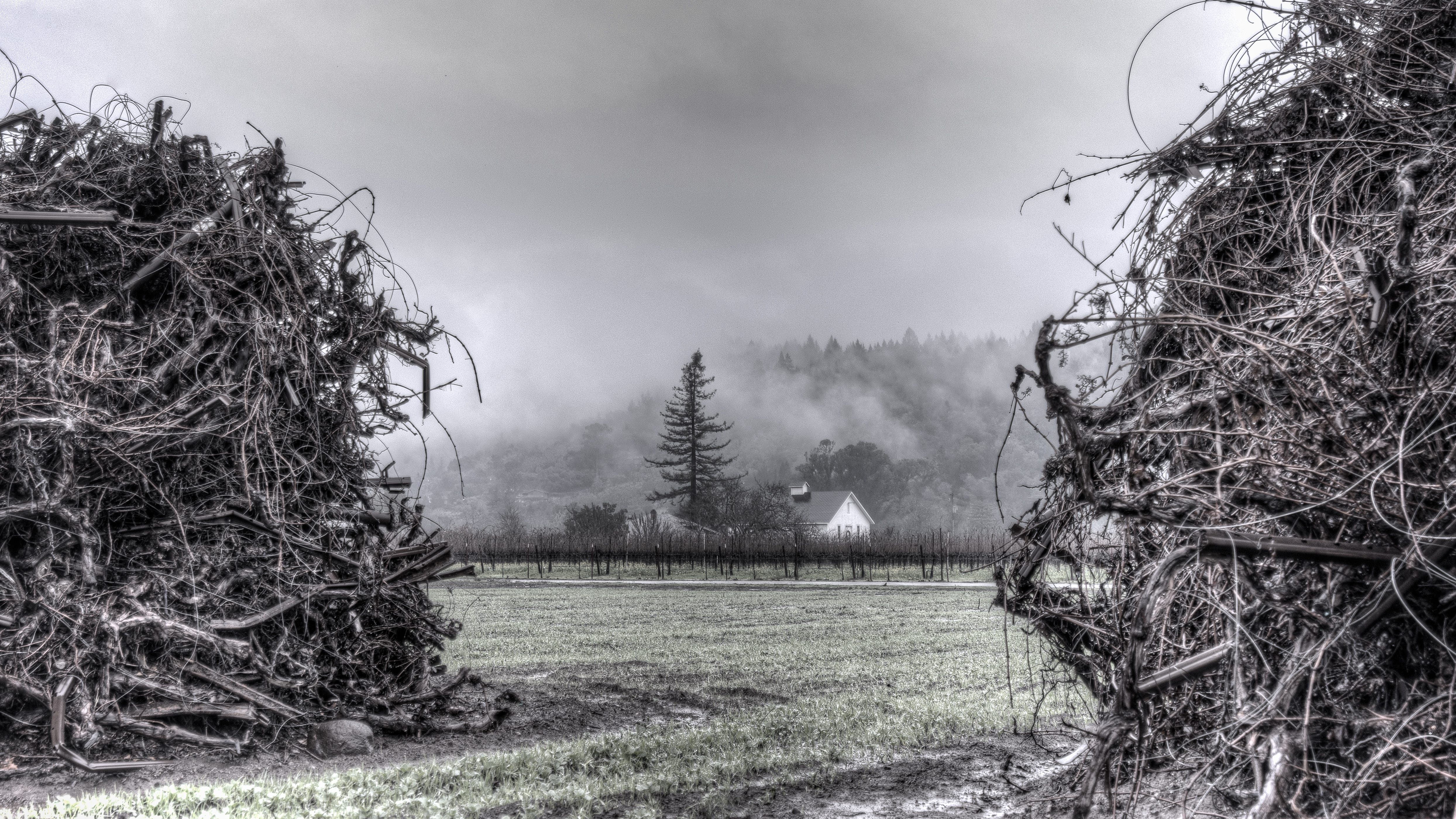 The Next Napa Valley? Napa Valley