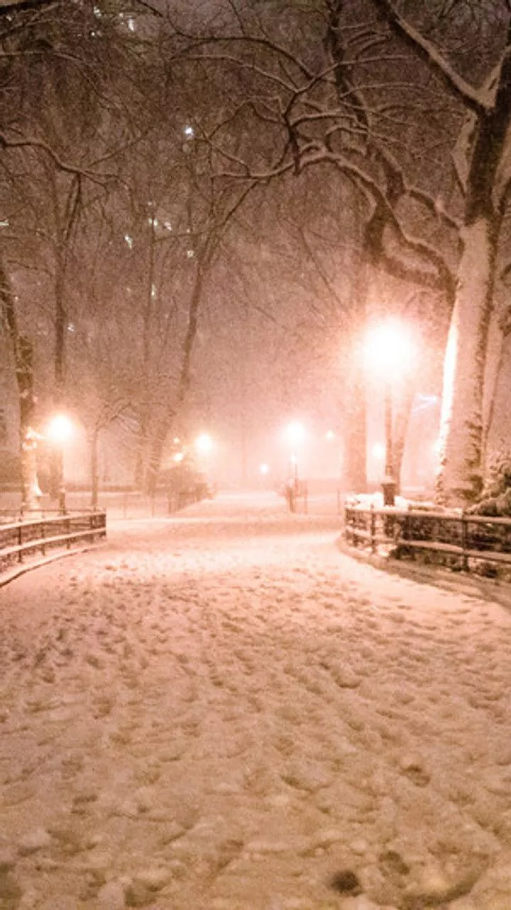 Snowy Skies Make for a Bright Night