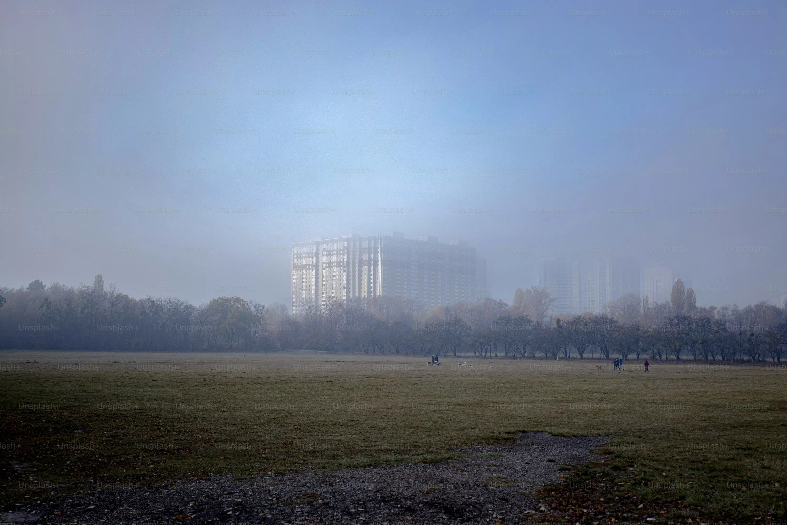 Fog City Picture. Download Free