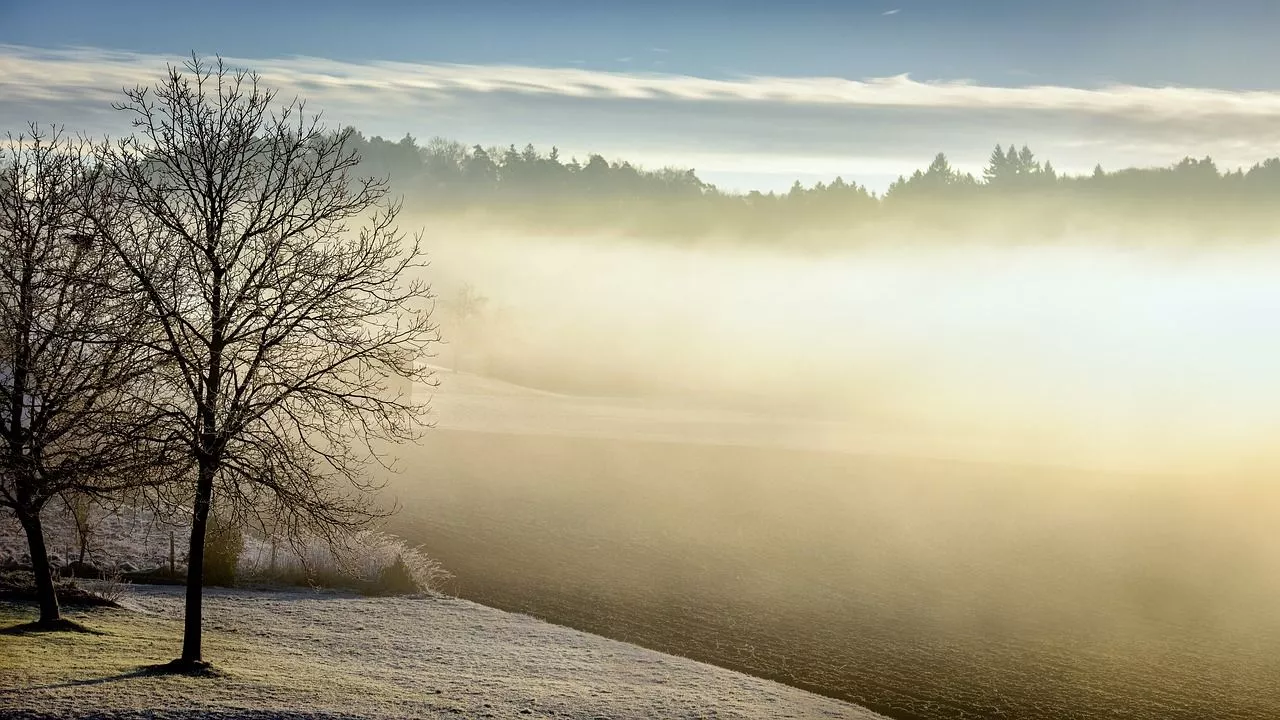 Winter Tomorrow Fog Early photo
