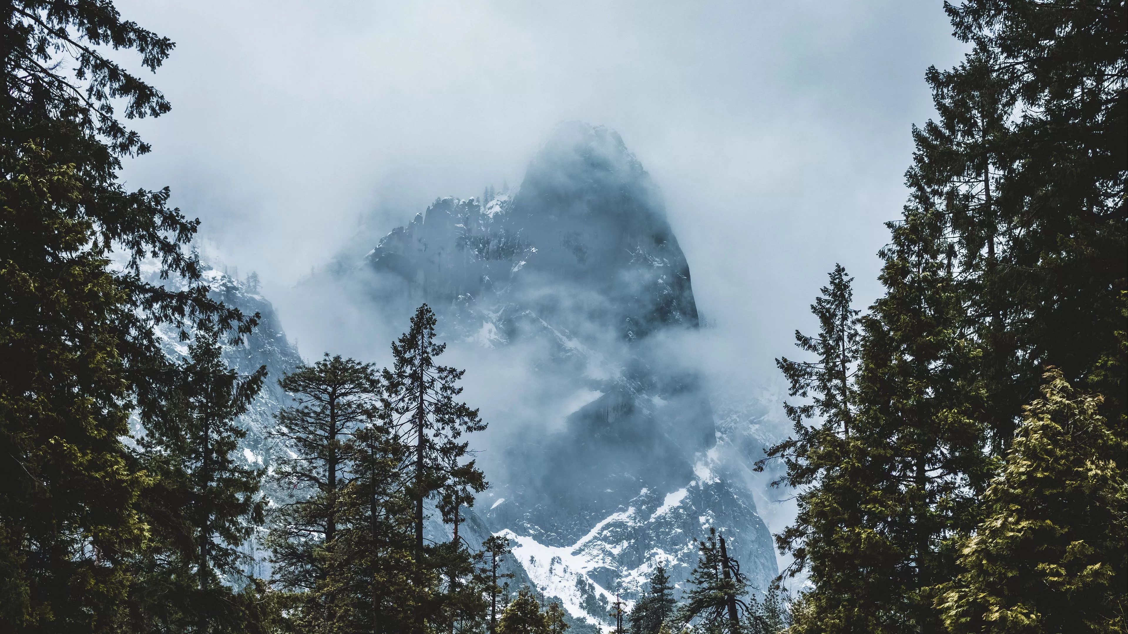 Mountain Snow Trees Clouds Winter