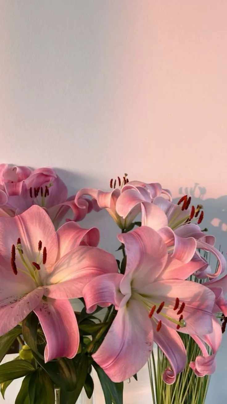 Spring flowers