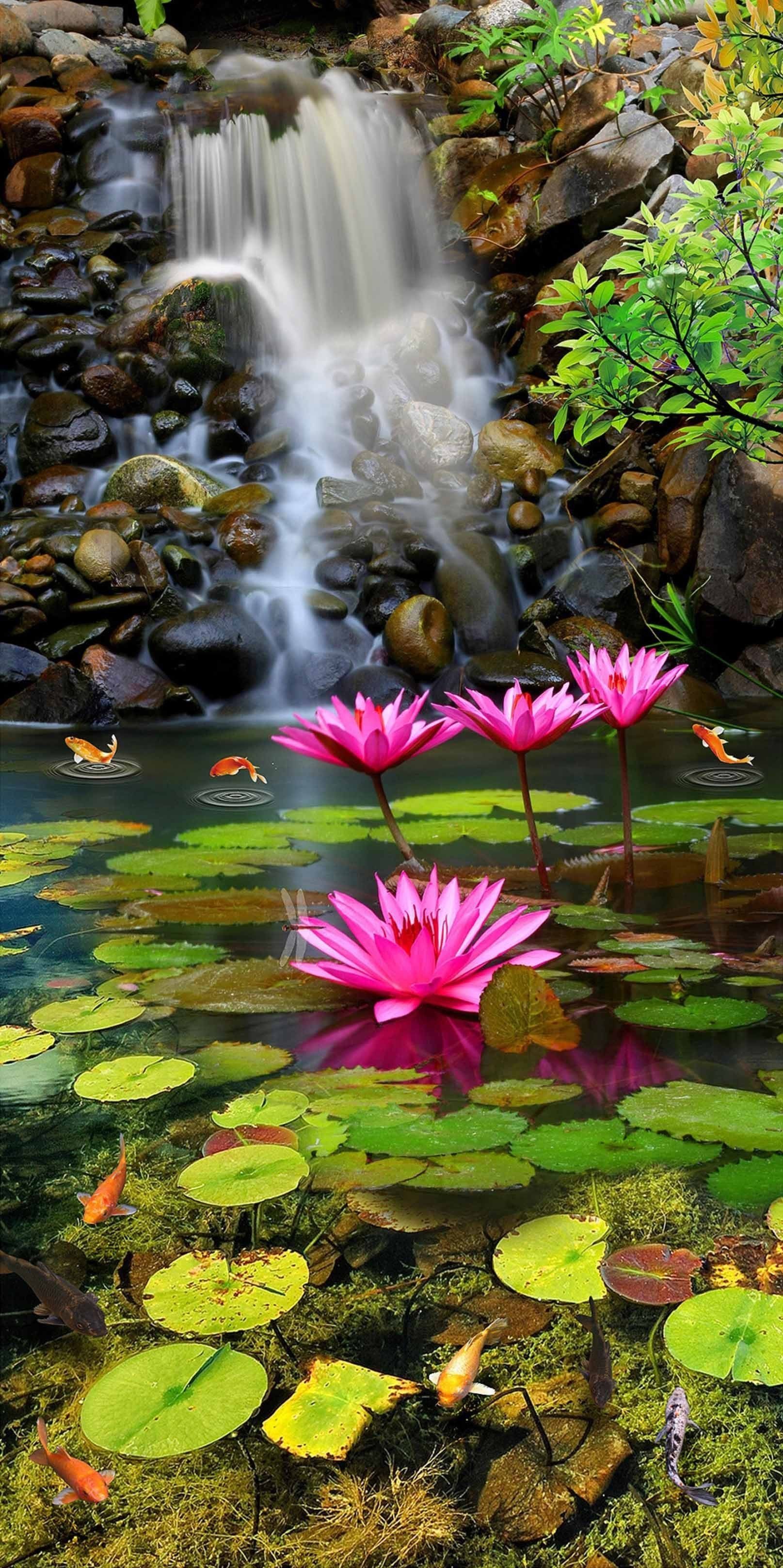 Water Lily 1604 Stair Risers