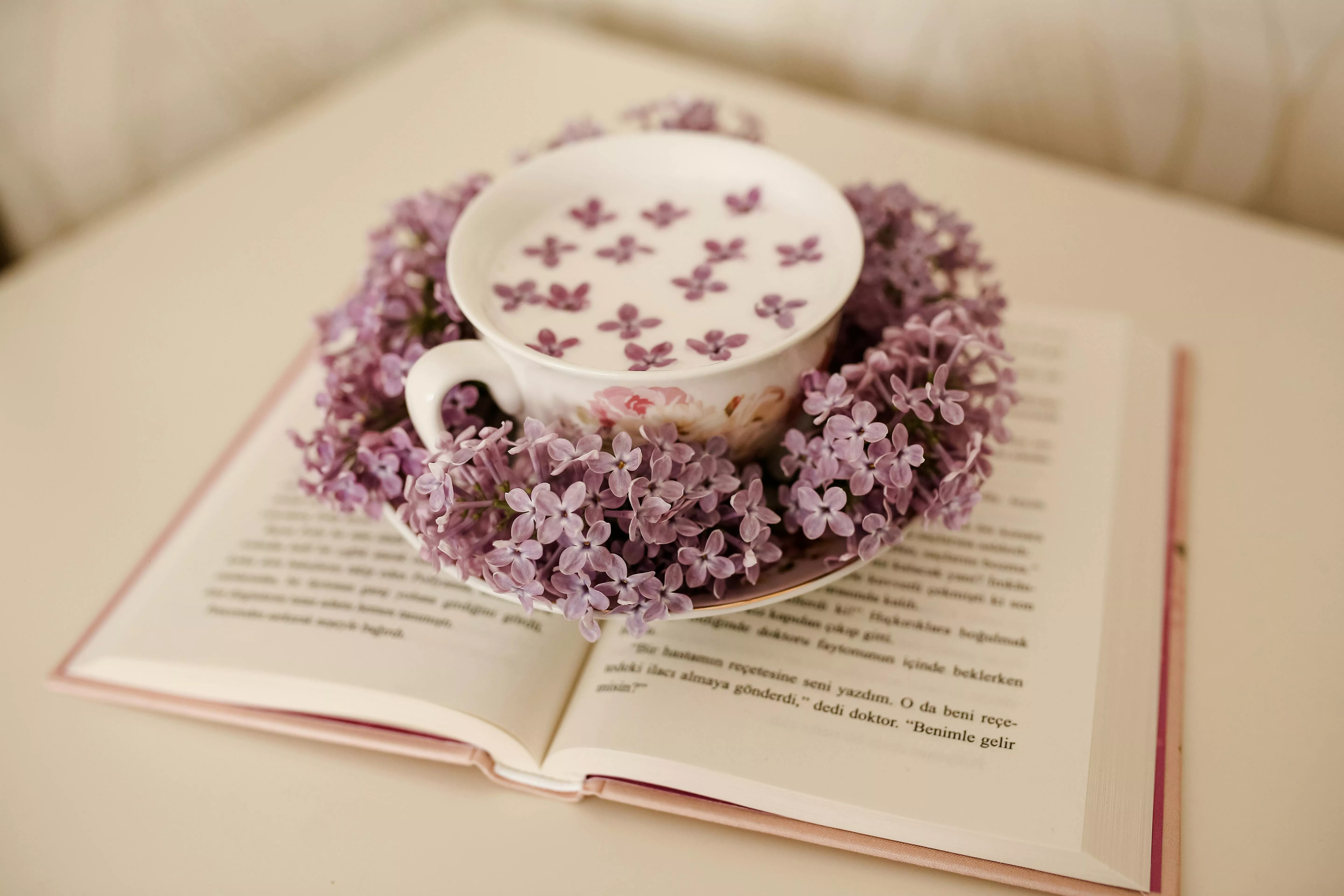 Coffee on a Saucer · Free