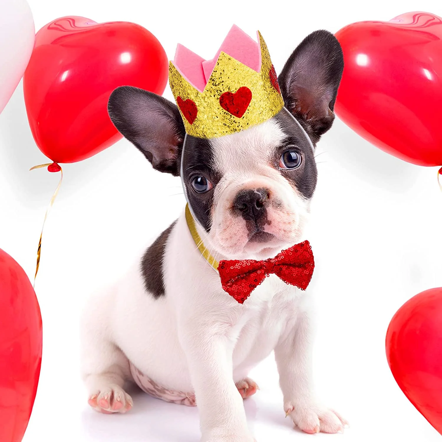 Valentines Dogs Wallpaper Set
