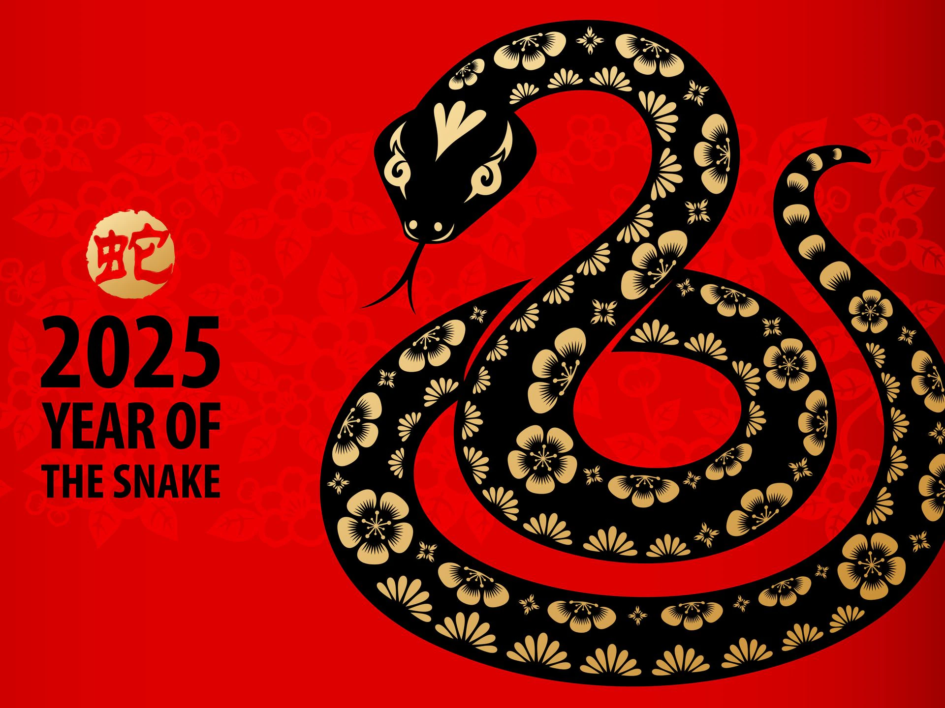 Wear these color for good luck in 2025