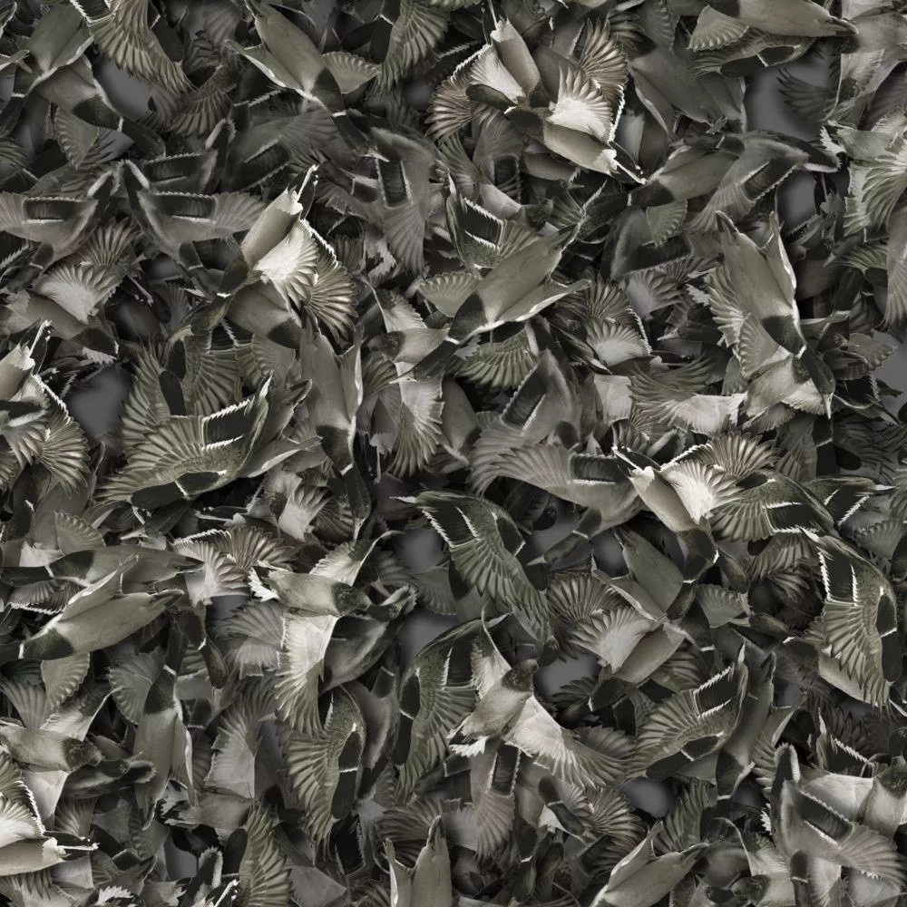 Duck Camo Peel and Stick Wallpaper