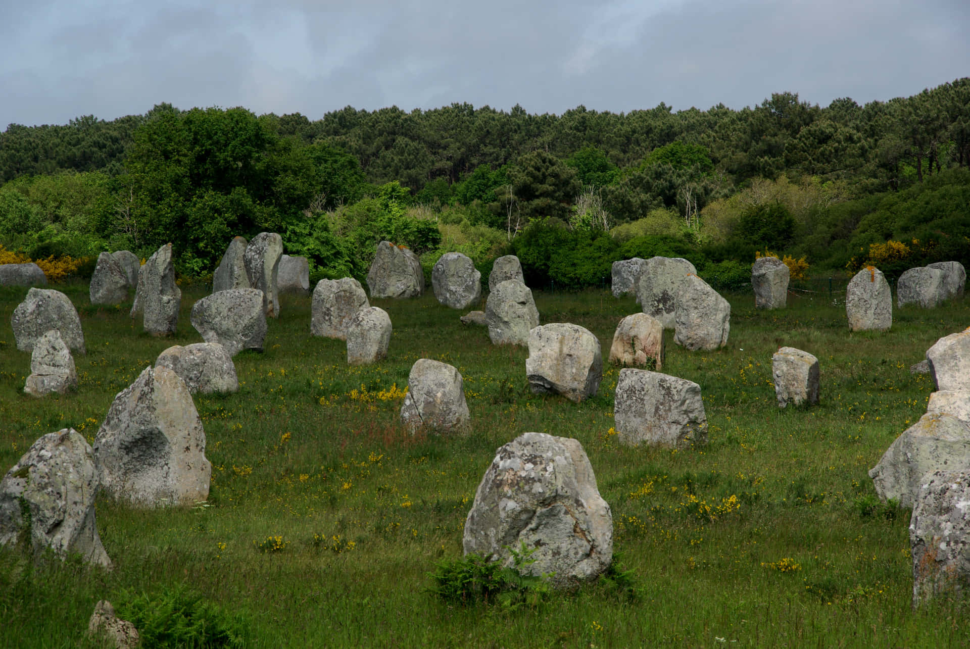 Carnac Stones Neolithic Menhirs