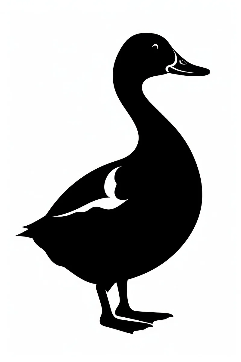 Black And White Duck Image. Free