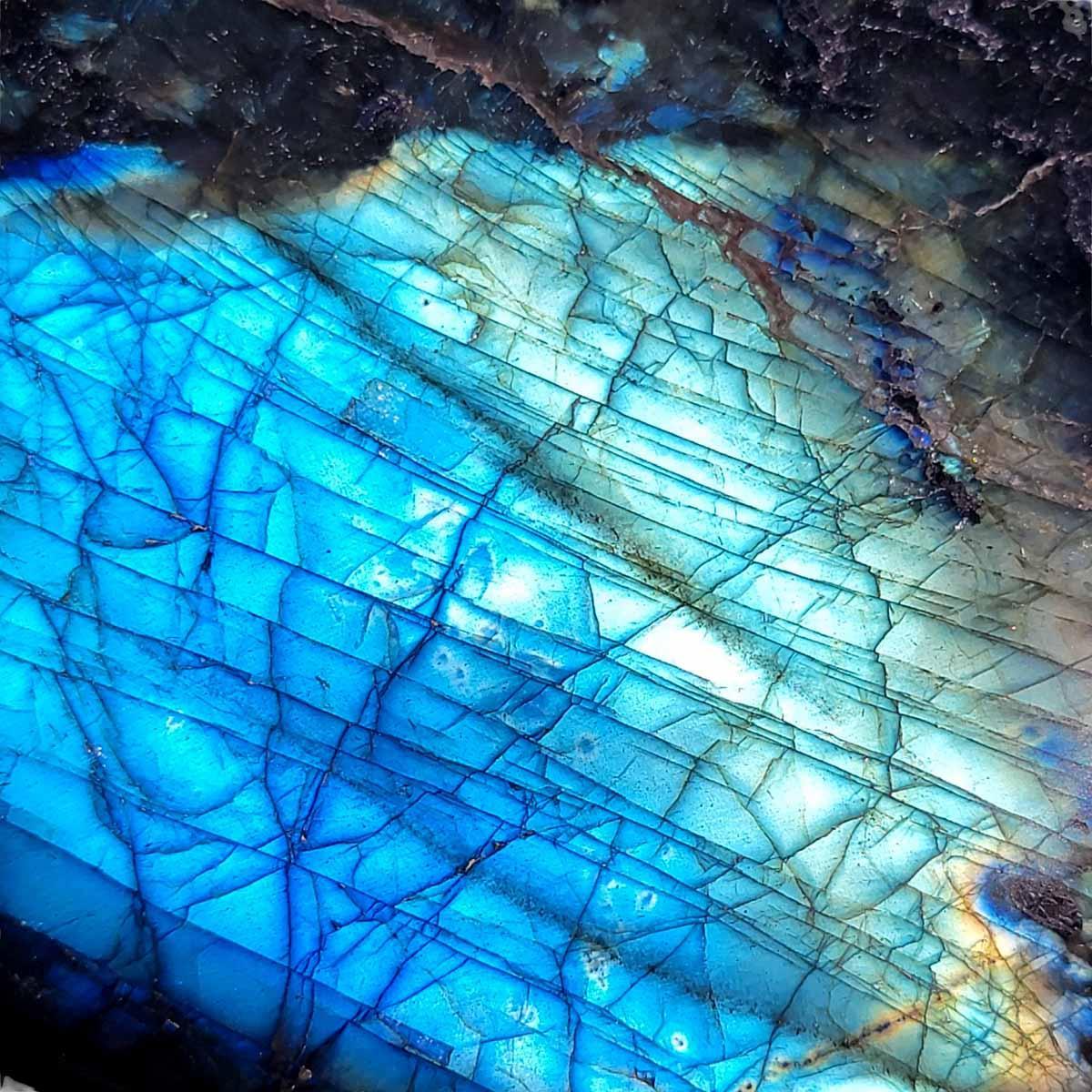 Polished AAA Labradorite Display