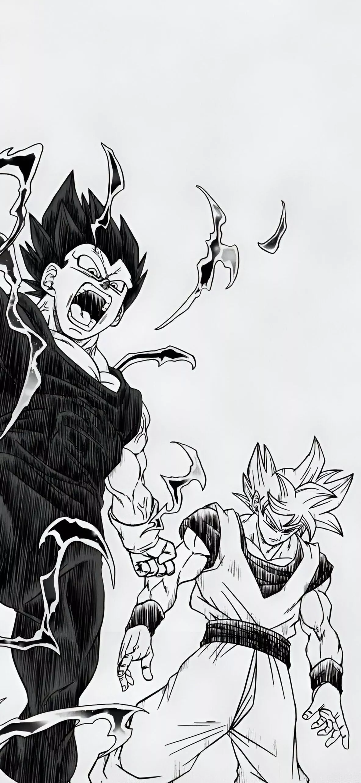 Dragon Ball Vegeta and Goku Manga Style