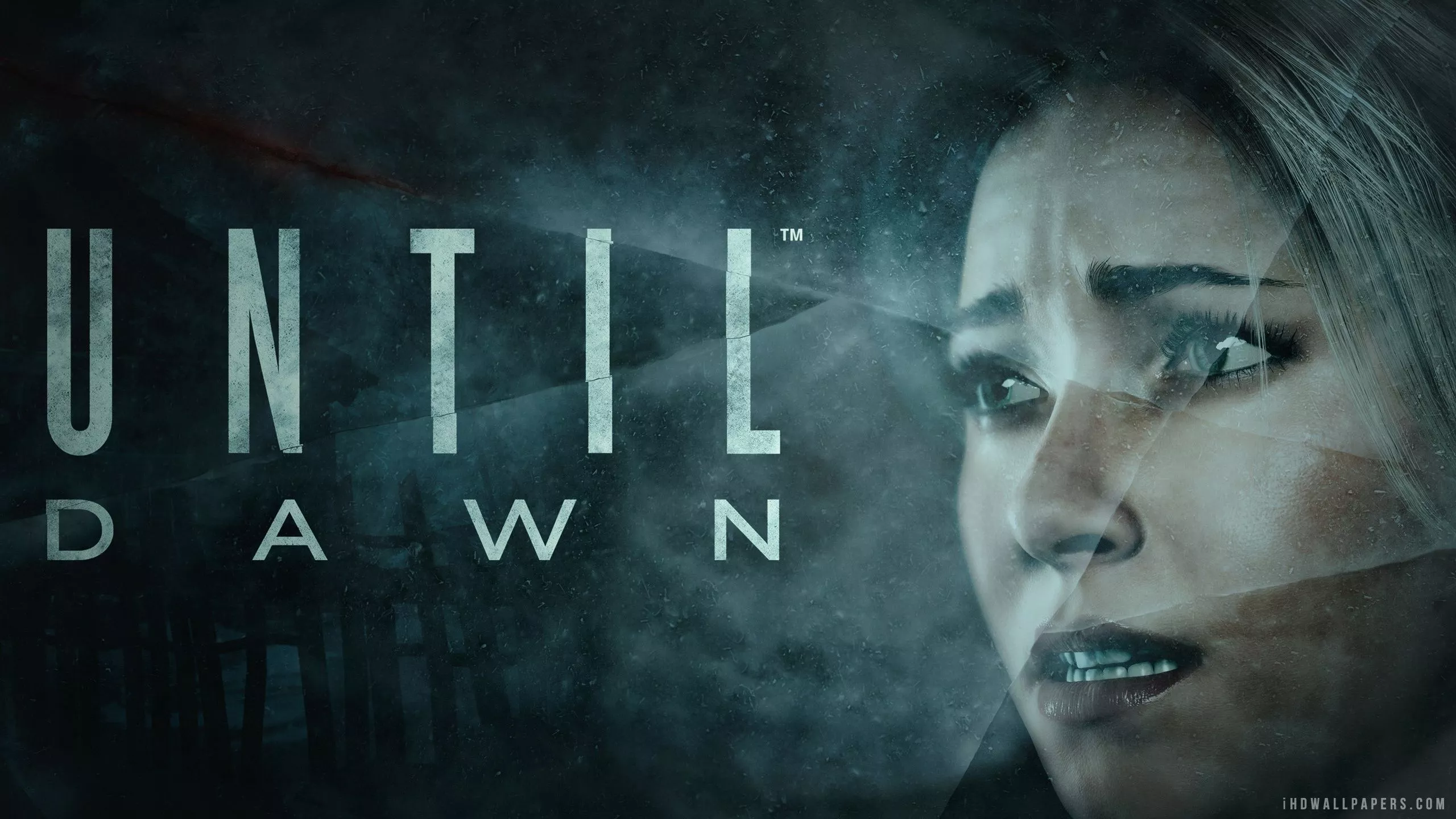 Until Dawn wallpaper, Video Game, HQ