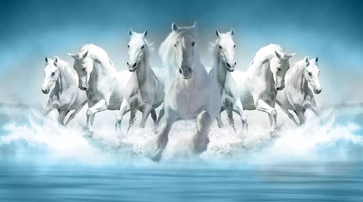 White Horses Wallpaper Running