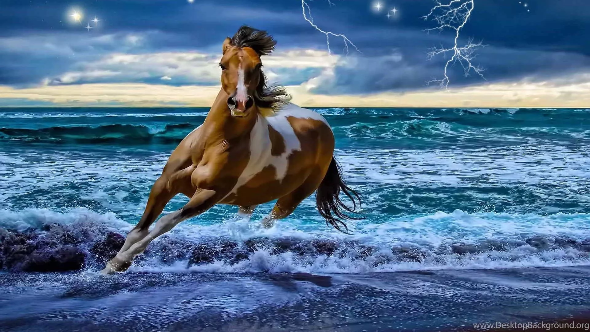 Running outlet horses wallpaper