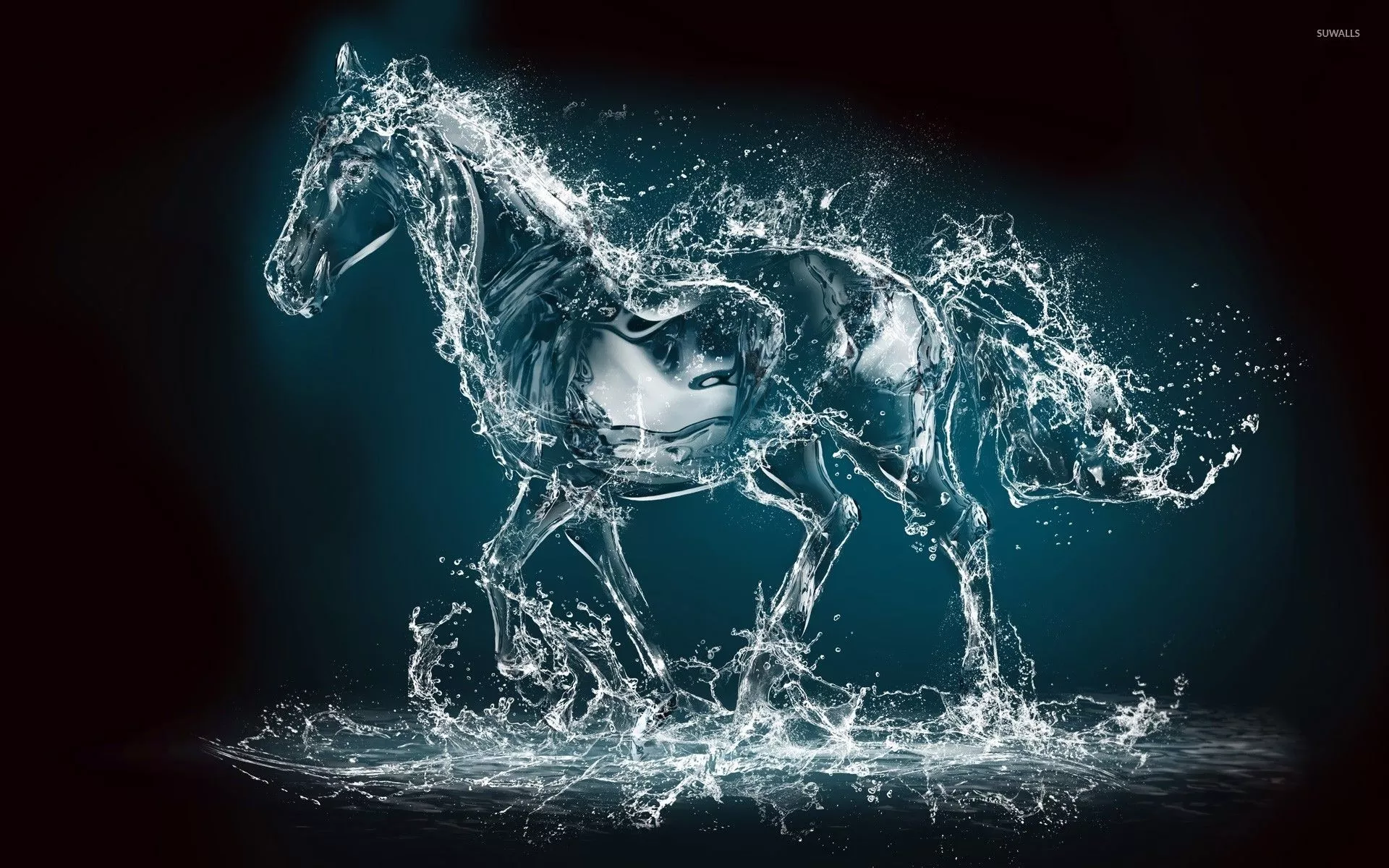 Water horse wallpaper Art