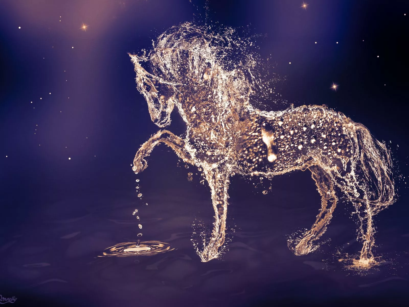 Beautiful horse from the water on a