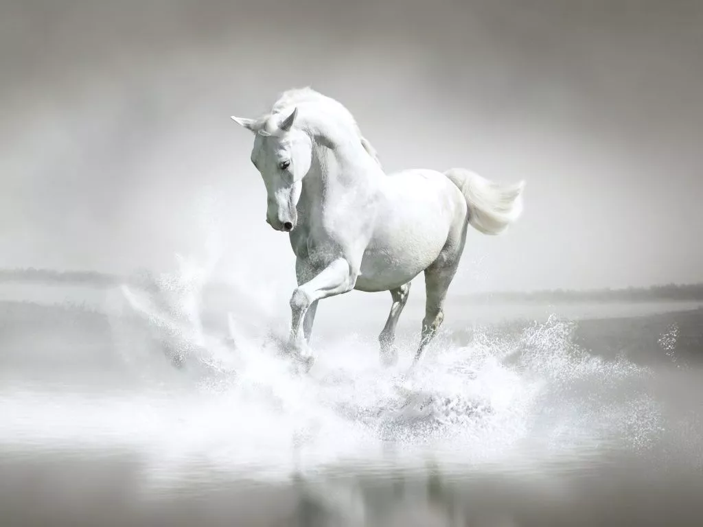 24_White Horse Water