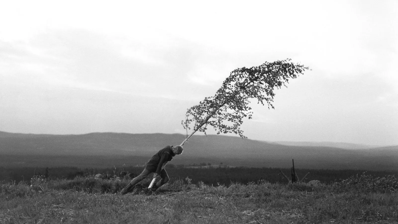 Swedish filmmaker Ingmar Bergman 1918