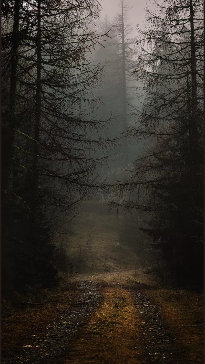 yellow, HD phone wallpaper