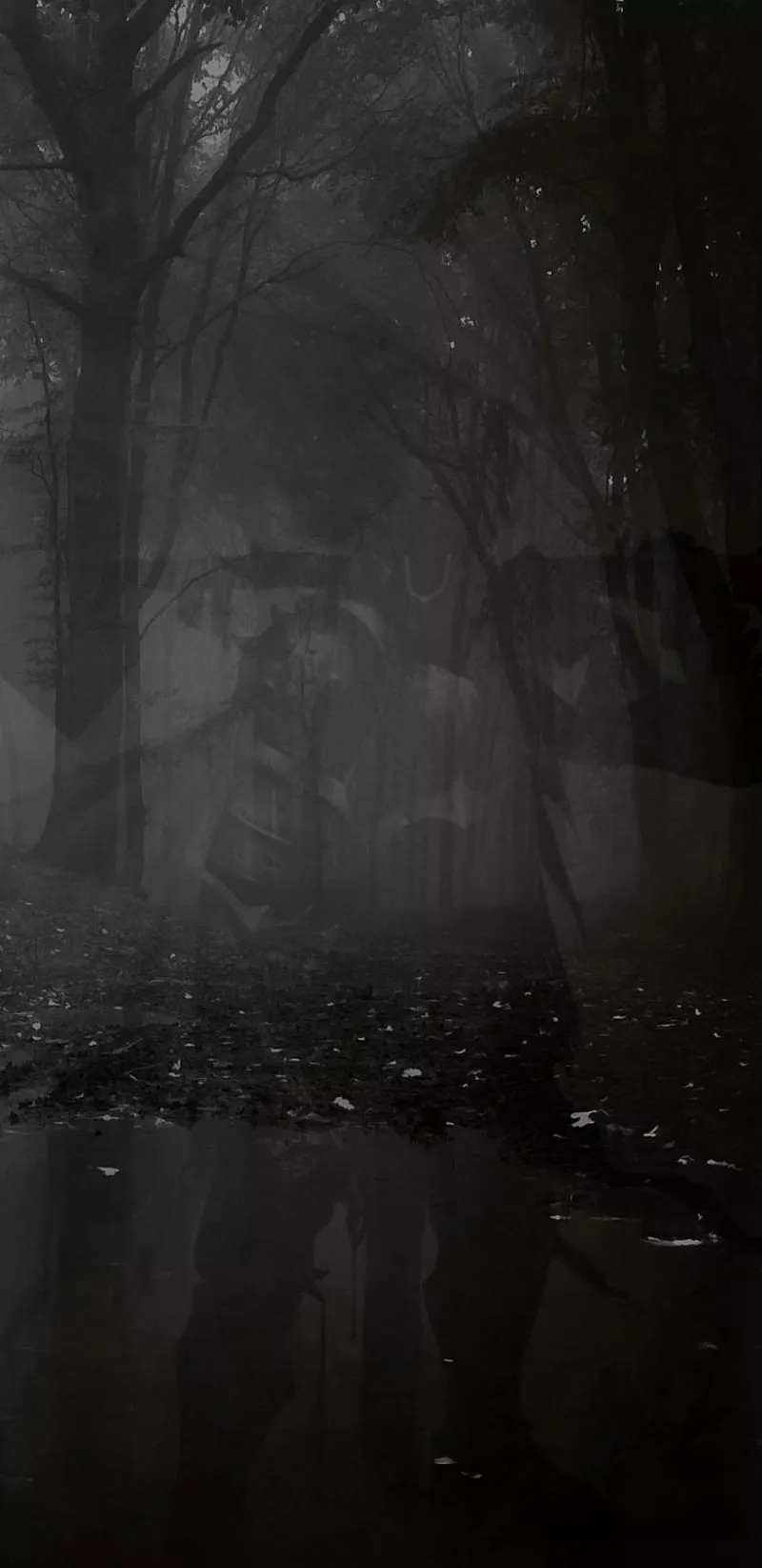 natural, tree, HD phone wallpaper