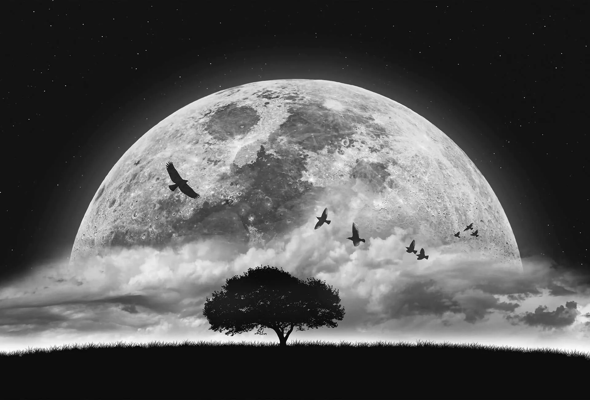A.S. Création Wallpaper Sky Full Moon Wallpaper In Black, White And Grey Rooms Woven Wall Chart XXL 384 X 260 Cm, Amazon.co.uk: DIY & Tools