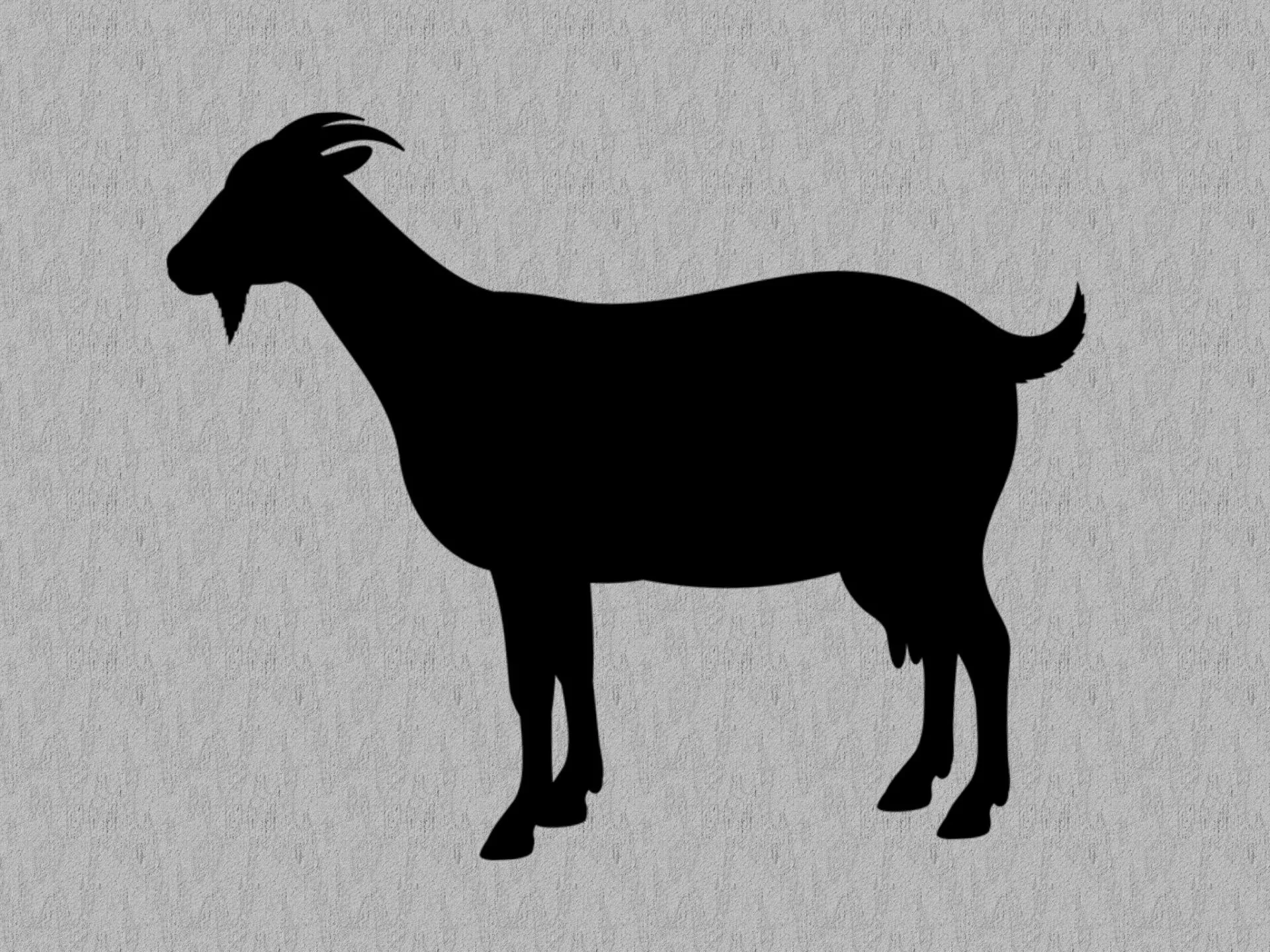 Silhouette, goat, black, grey, texture