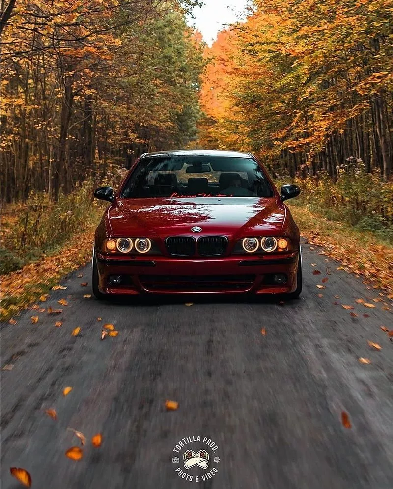 BMW E39. Bmw, Bmw touring, Bmw e39, HD phone wallpaper