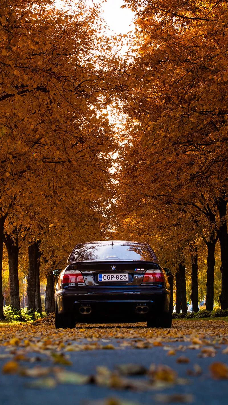 HD e39 wallpaper