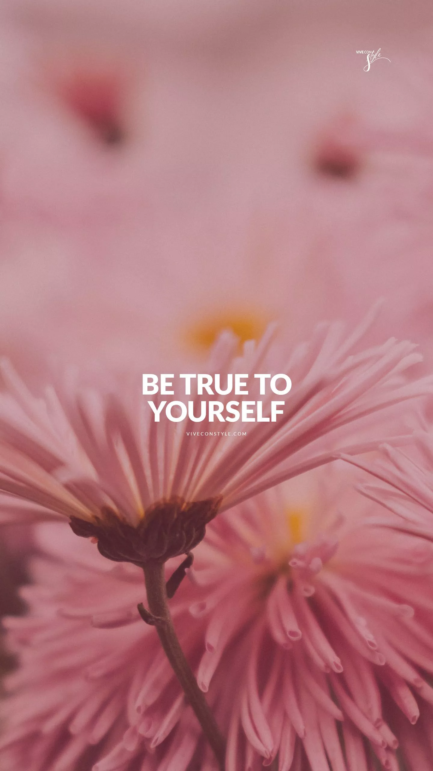 quotes wallpaper CON STYLE