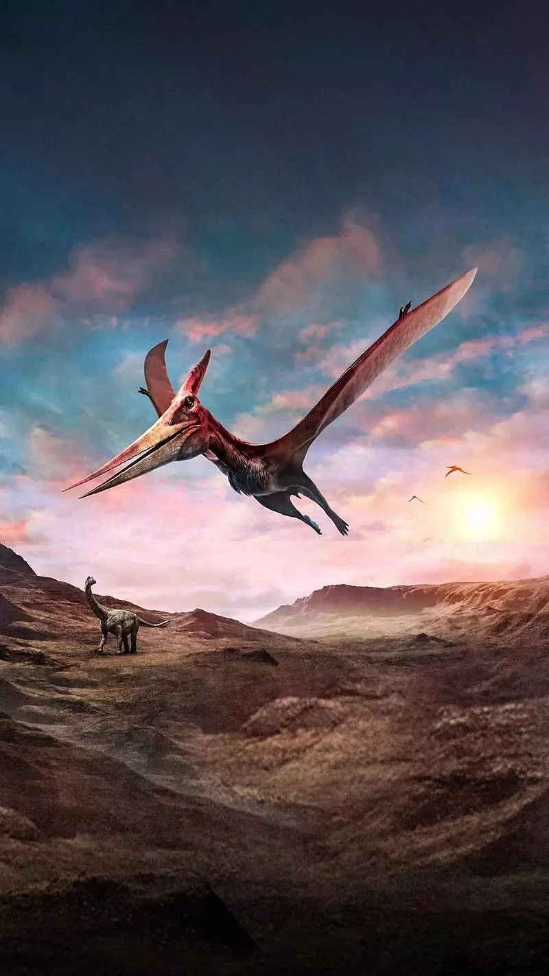 HD flying dinosaur wallpaper