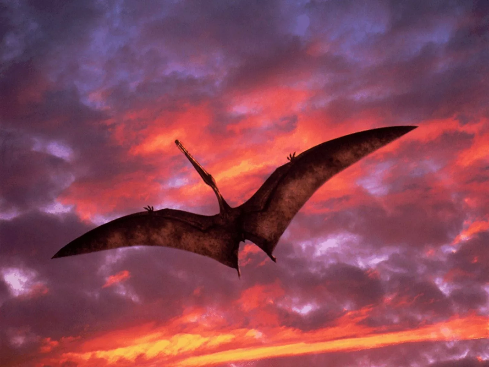 Majestic Pterosaur: A Stunning HD Wallpaper