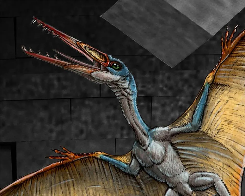 Custom 3D Animal Dinosaur Wallpaper