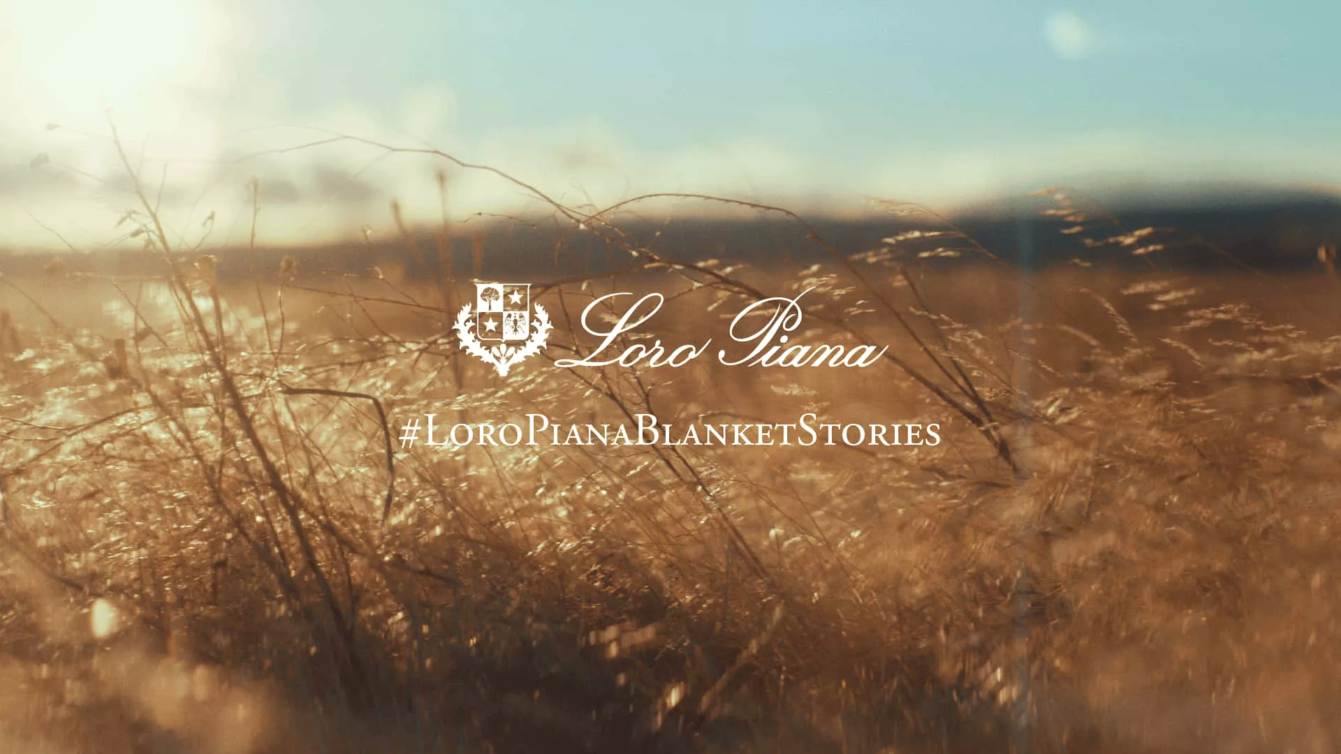 Loro Piana Blanket Wallpaper