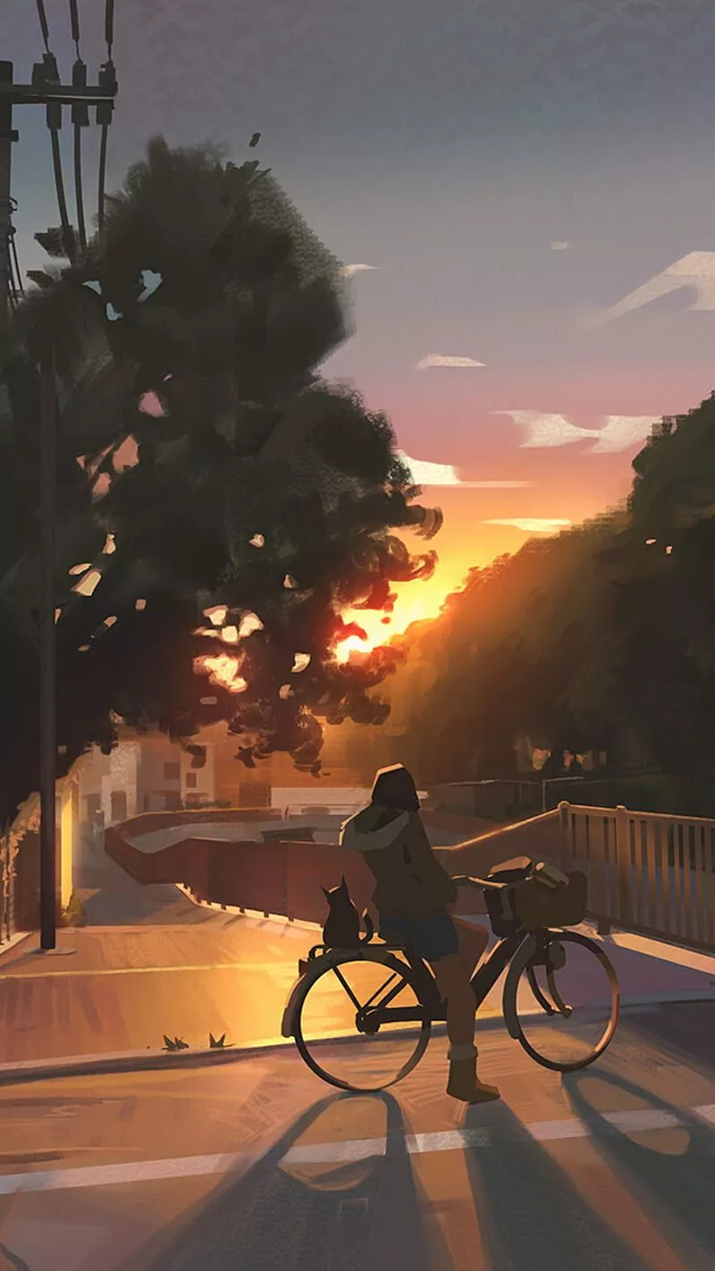 Sunset, anime, bicycle, bike, cat, city