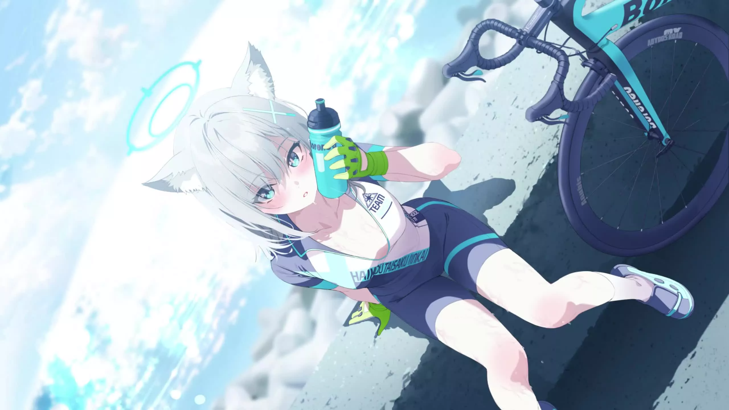 Bicycle Live Wallpaper and More