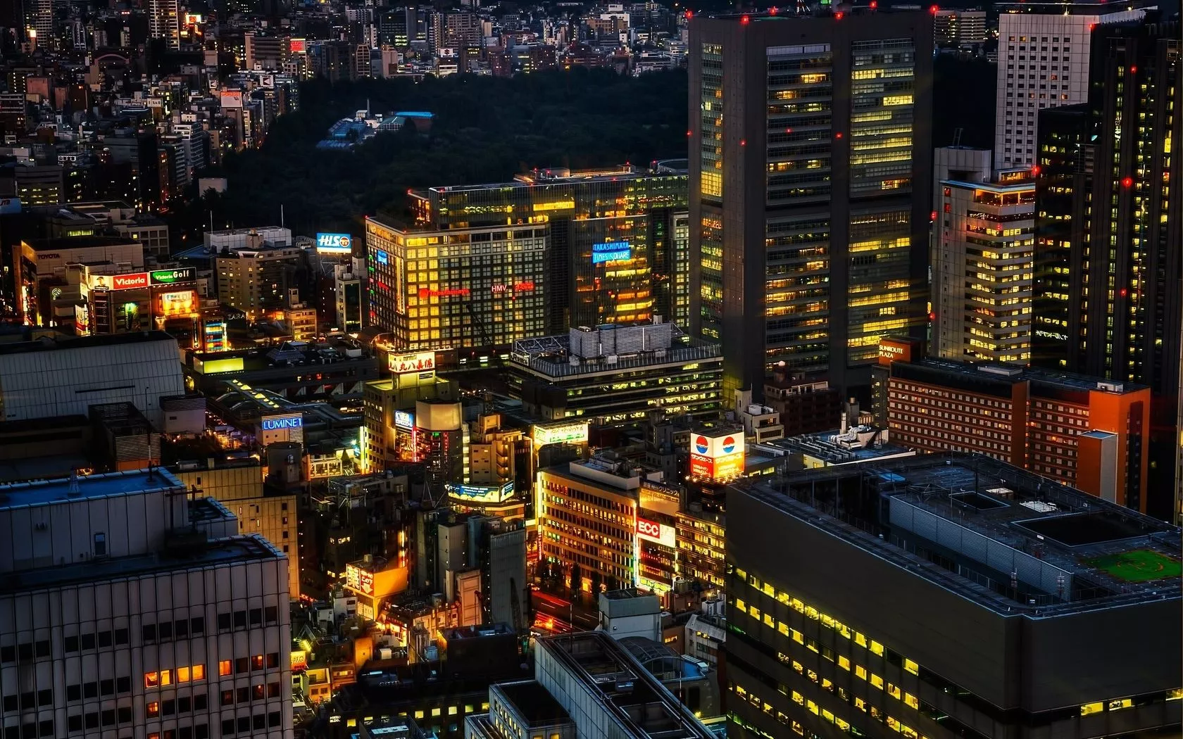 tokyo, japan, night Wallpaper, HD City