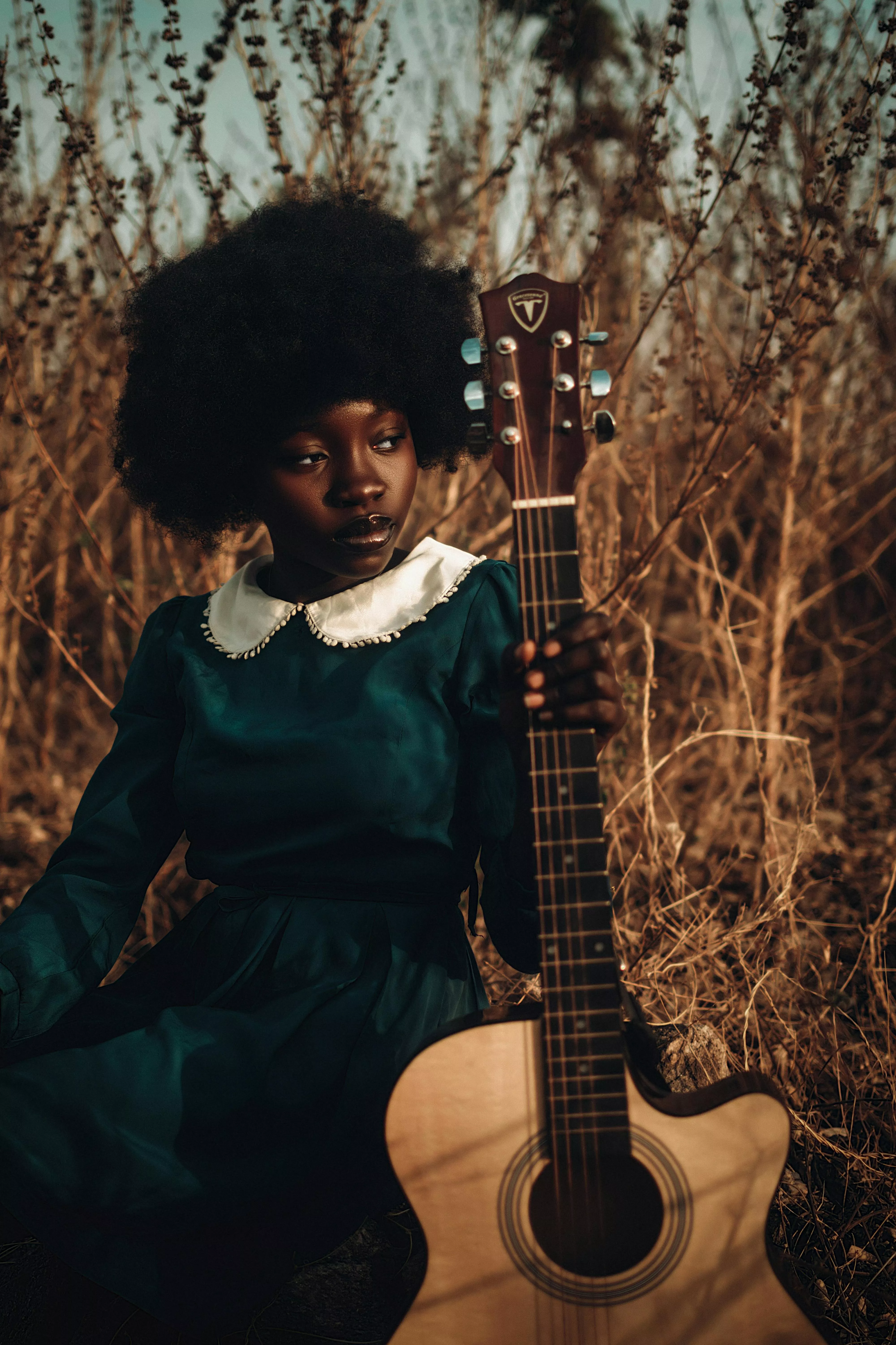 Teenage Girl with Guitar on Meadow