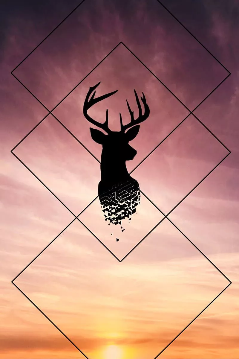 Deer, black, deer design, orange