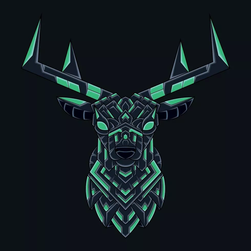 Abstract Colorful Ornament Doodle Art