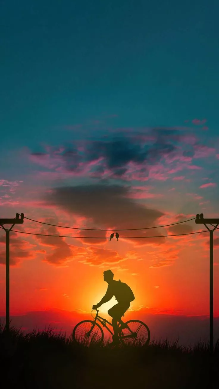 Morning Bicycle Ride iPhone Wallpaper HD