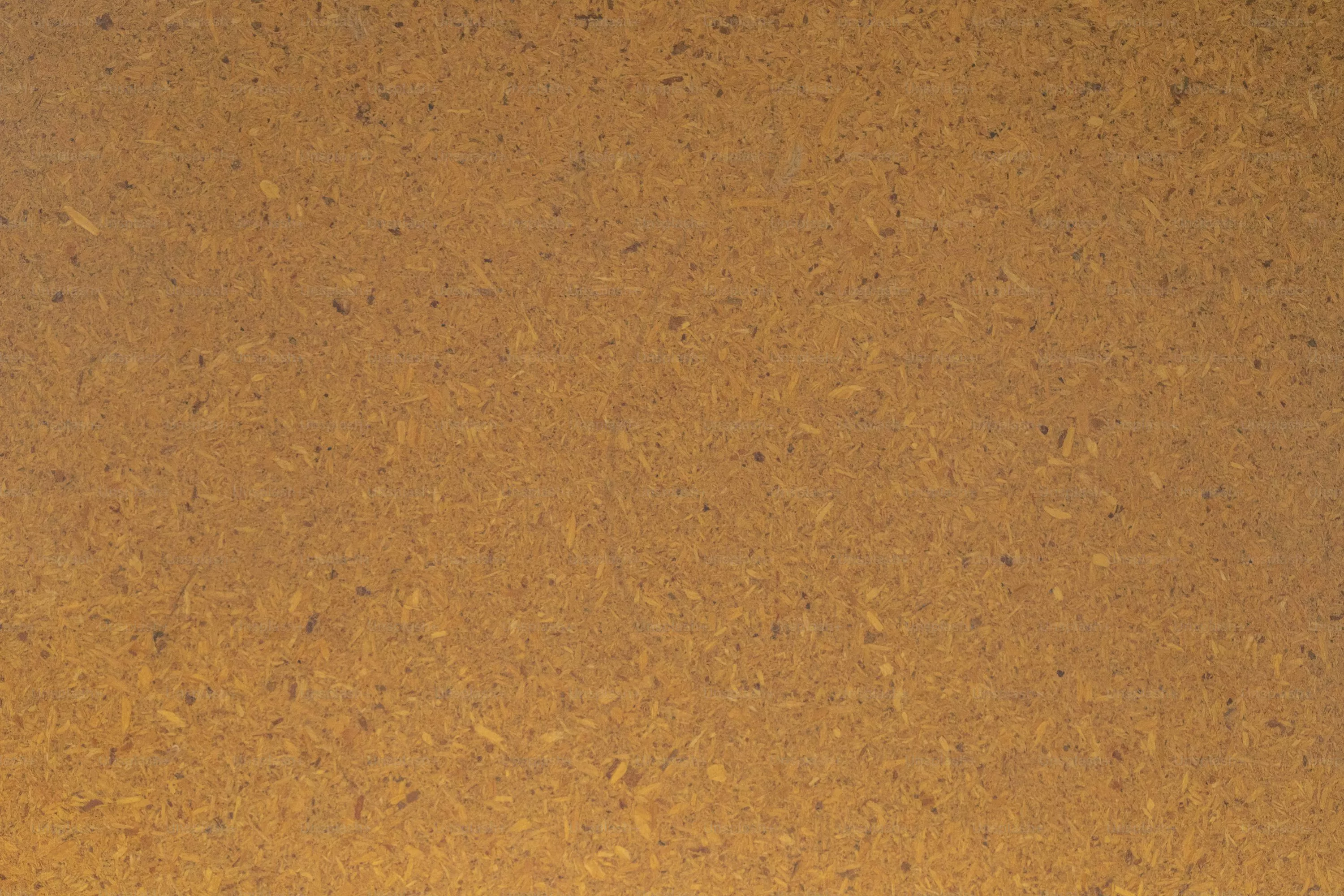 Corkboard Picture. Download Free