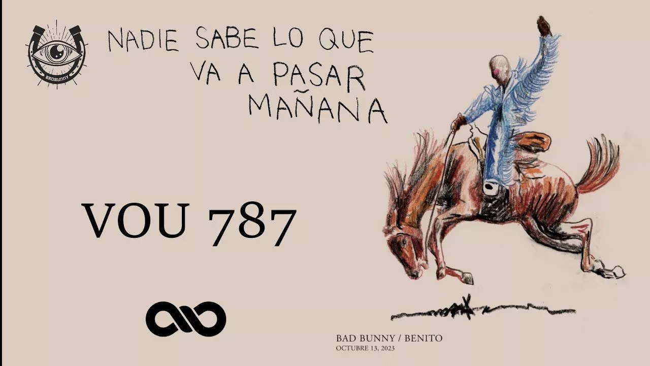 VOU 787 Bunny. NADIE SABE LO QUE