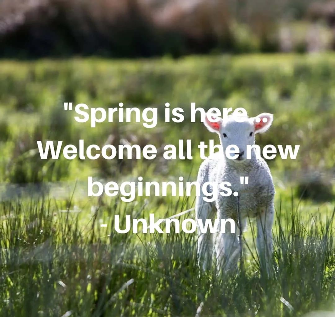 Spring Inspirational Wallpaper