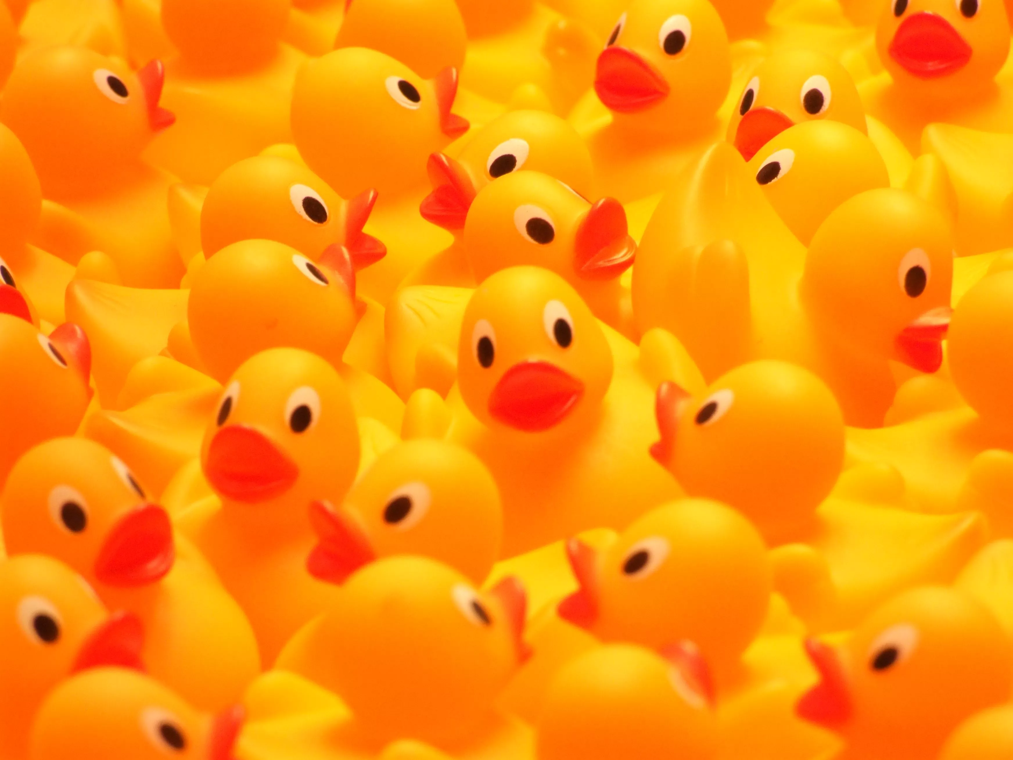 Rubber duckies So many