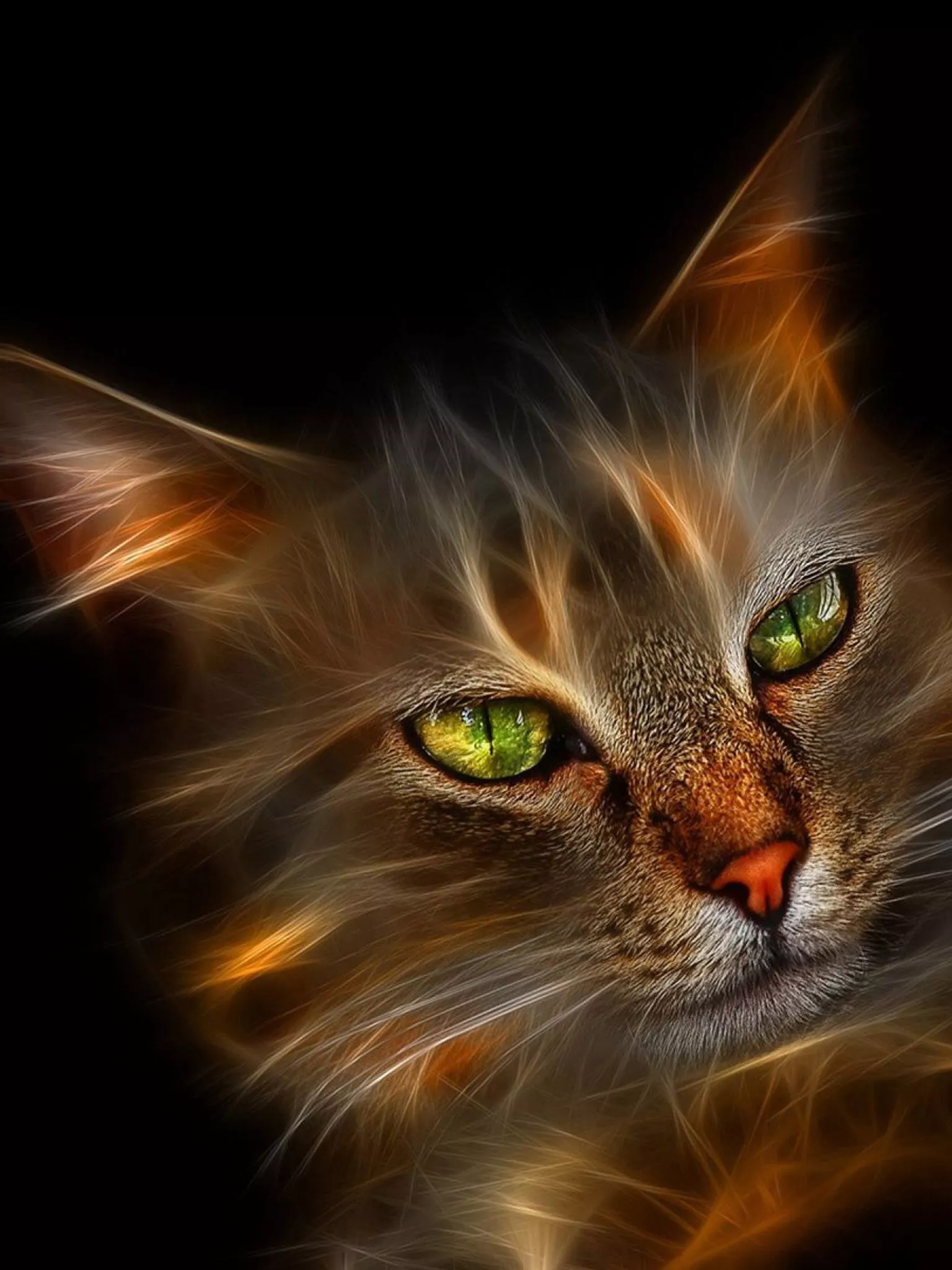 Maine Coon (Digital, Art, Cool) Cat