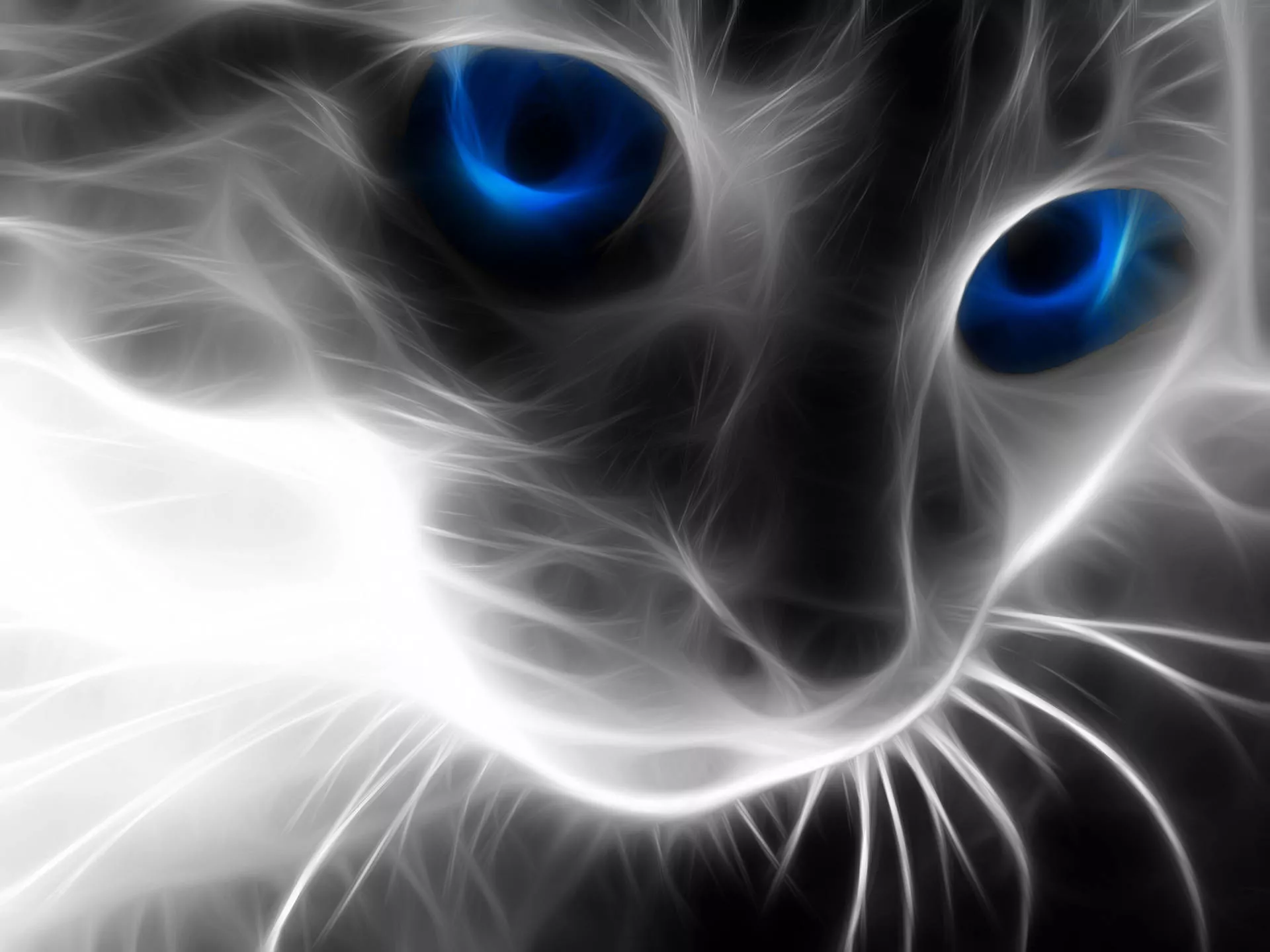 High Resolution Desktop Cat Digital Art
