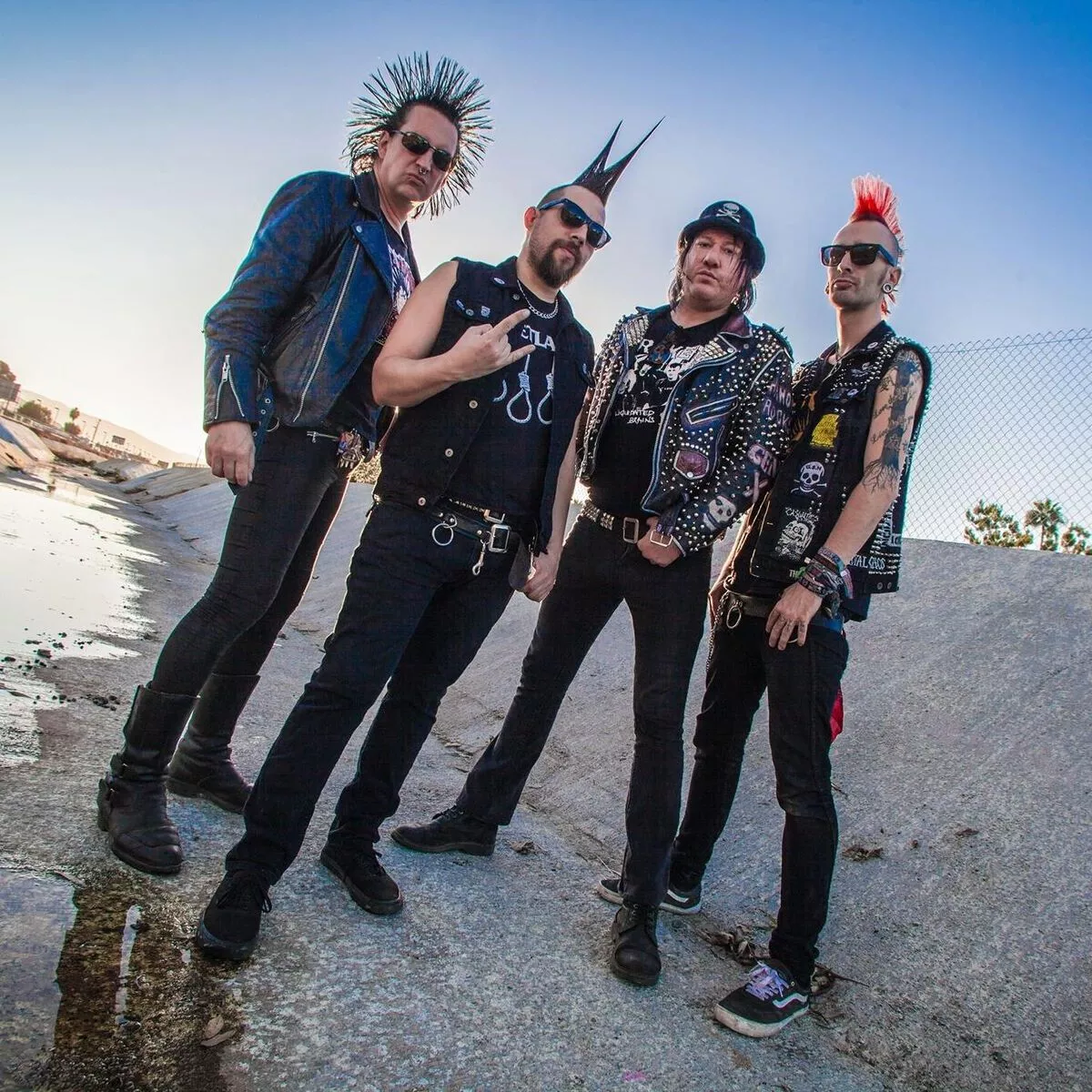 Total Chaos: albums, songs, playlists